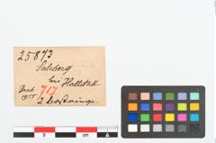Etikett zu Bernsteinringperle (NHMW-PRAE-025873)